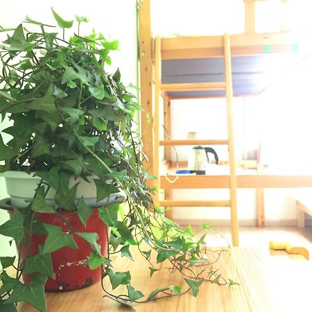 Weihai Hiking International Hostel Exterior photo